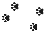 Paw Prints